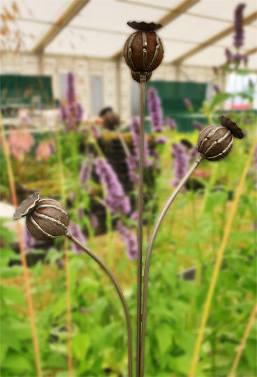 poppy seed head garden stakes Extra Large Poppy Seedhead Stakes, Plant Supports – Metal in Bloom Ltd