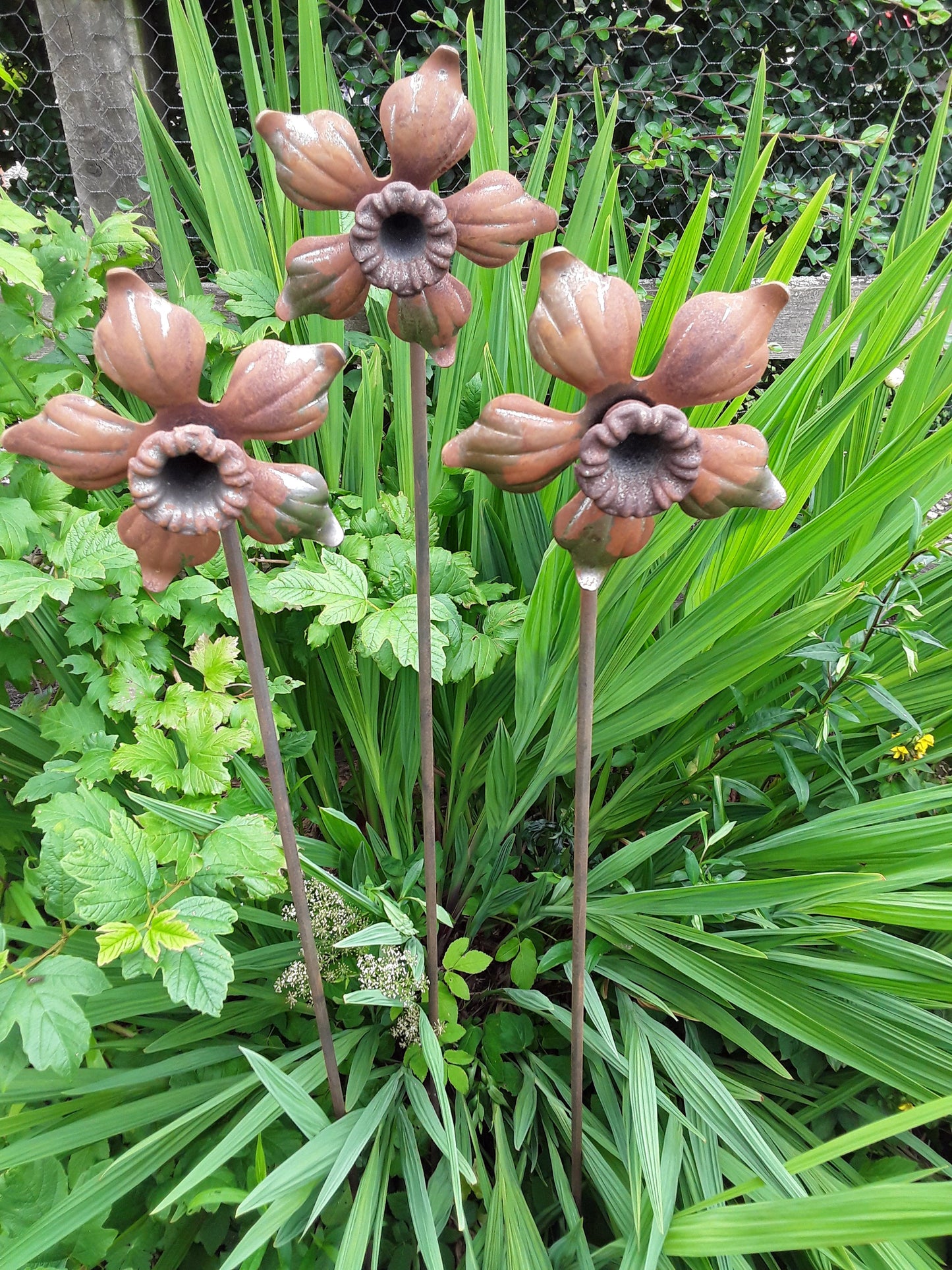 Daffodil Plant Support/Stake/Pin