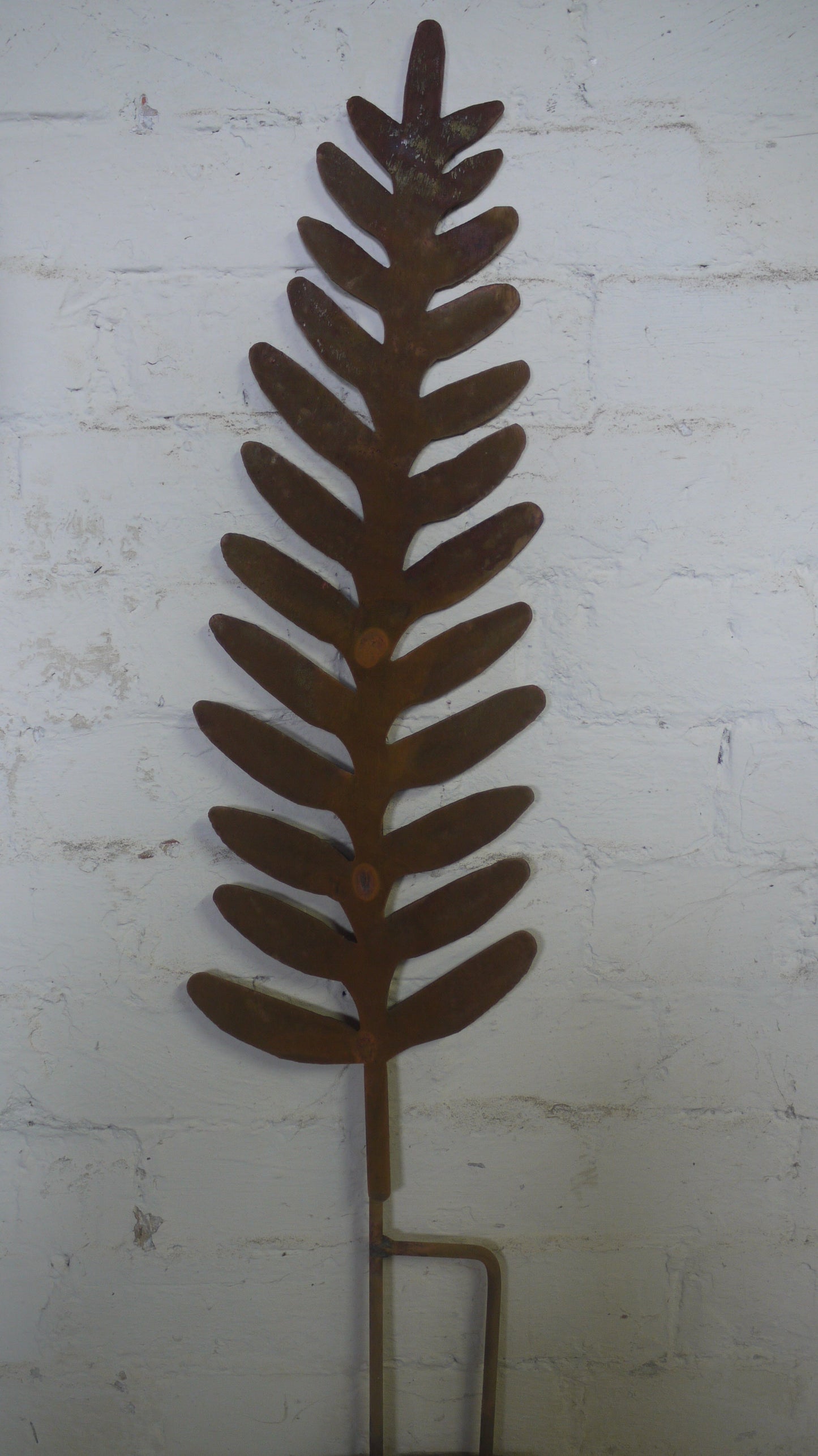 English fern, Garden Art