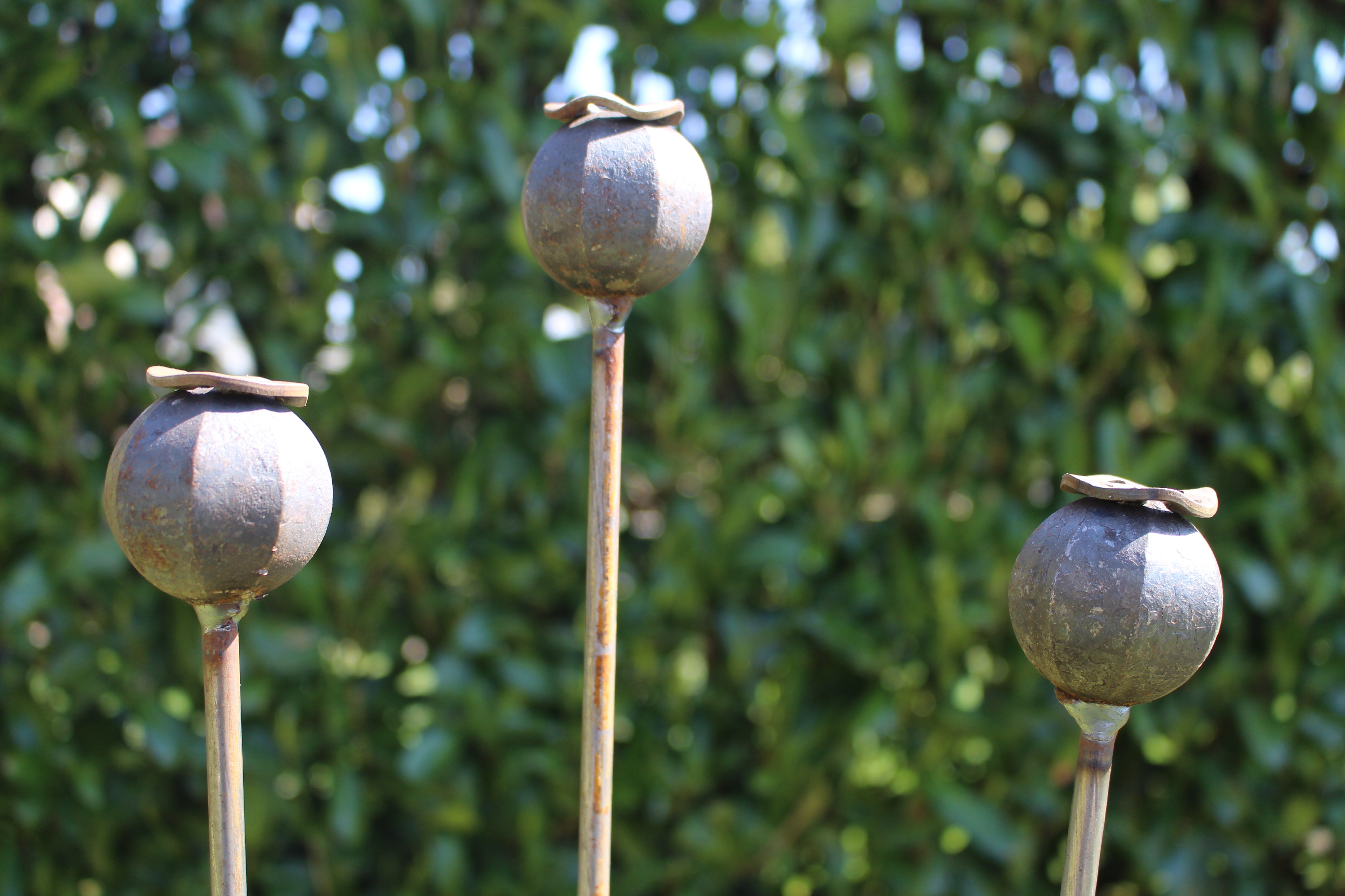metal poppy seed head garden stakes Poppy Seed Head Plant Support/Stake/Pin – Metal in Bloom Ltd