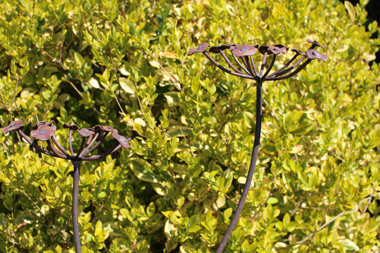 Double Cow Parsley, Plant Pin, Garden Art, Bespoke