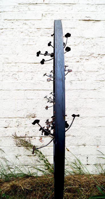 Cow Parsley & Poppy Hoop
