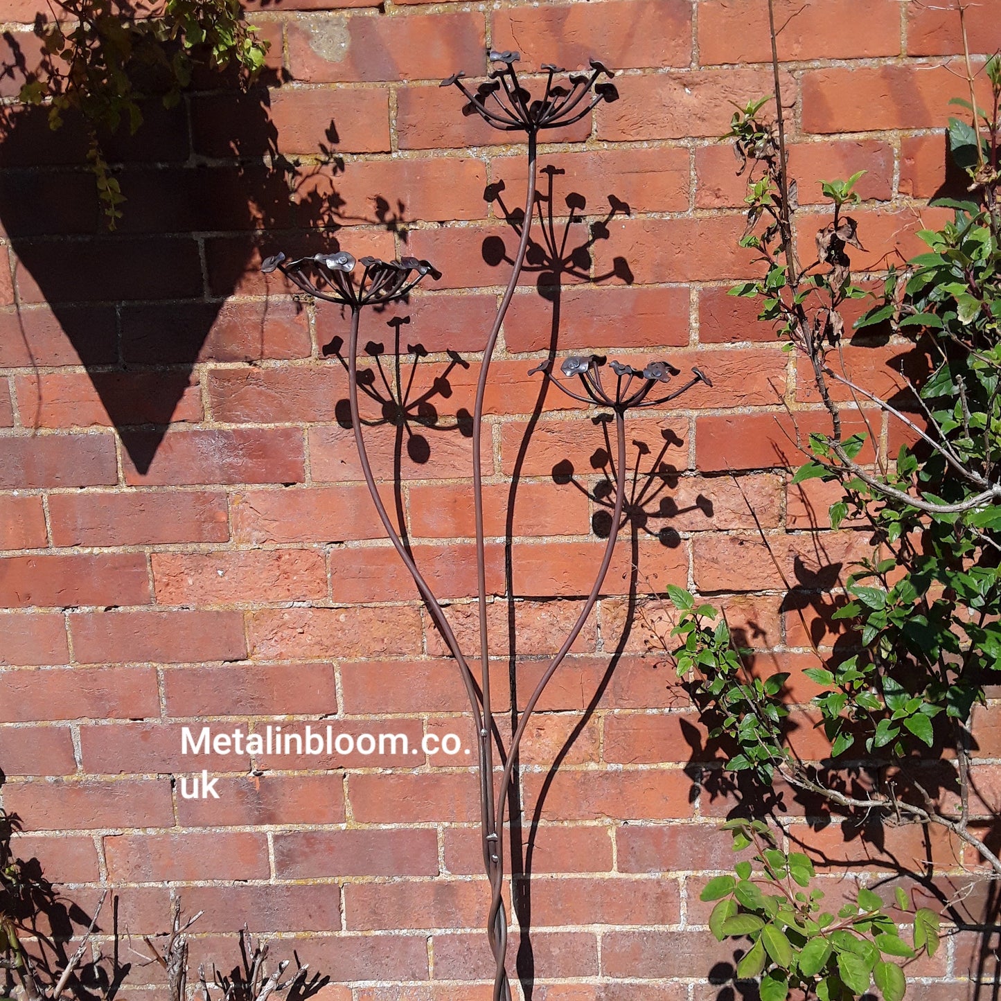 Triple Cow Parsley, Plant Pin, Garden Art, Bespoke