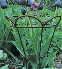 Tulip Basket