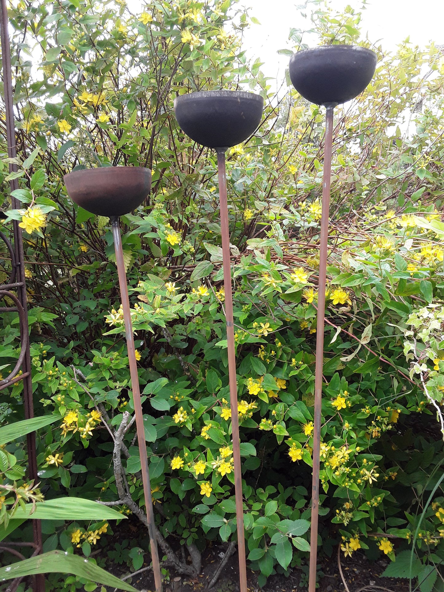 Water Cup/Raincatcher Plant Support/Stake/Pin