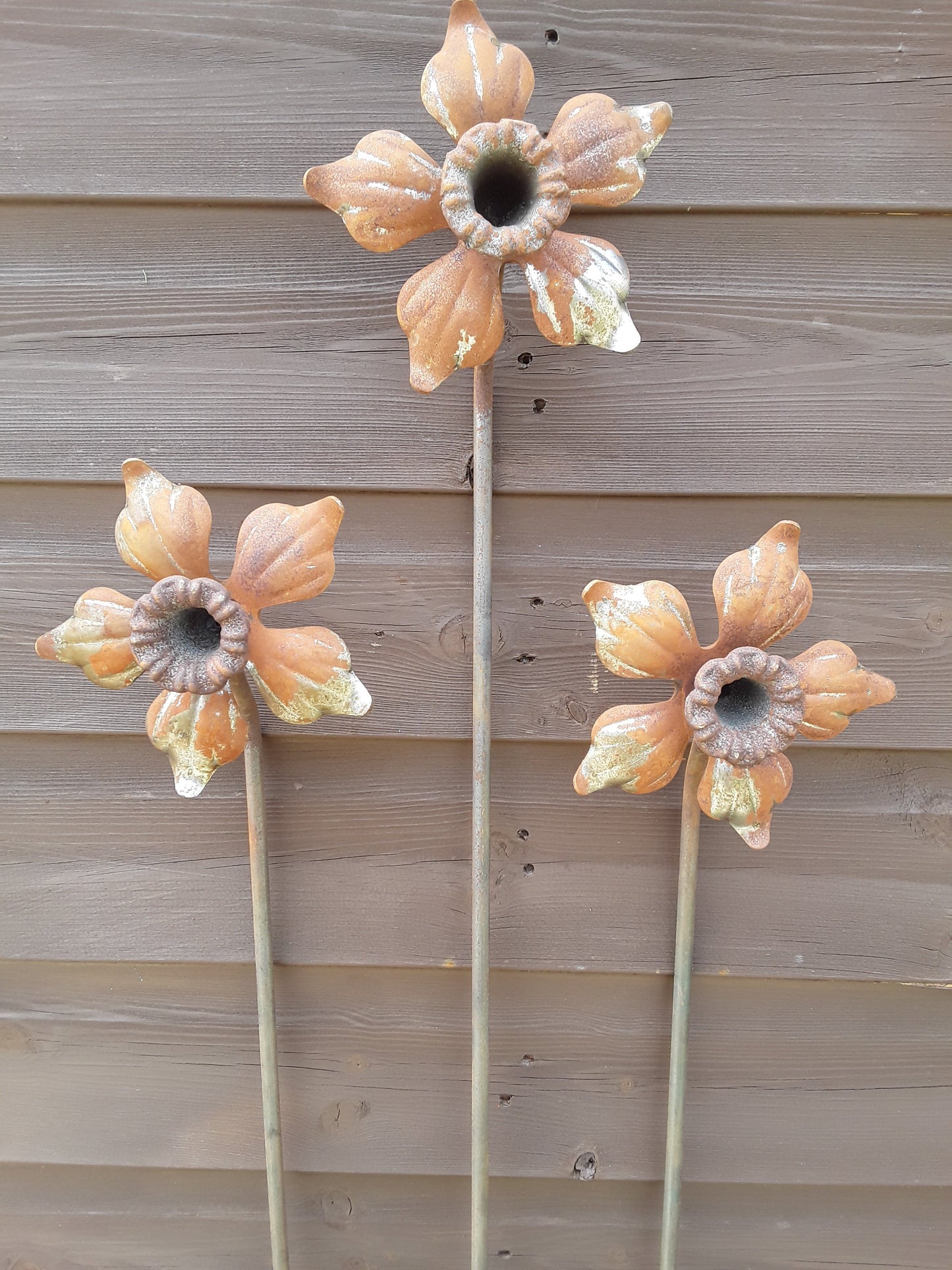Daffodil Plant Support/Stake/Pin