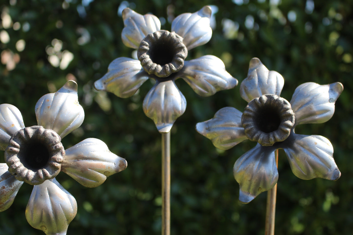 Daffodil Plant Support/Stake/Pin