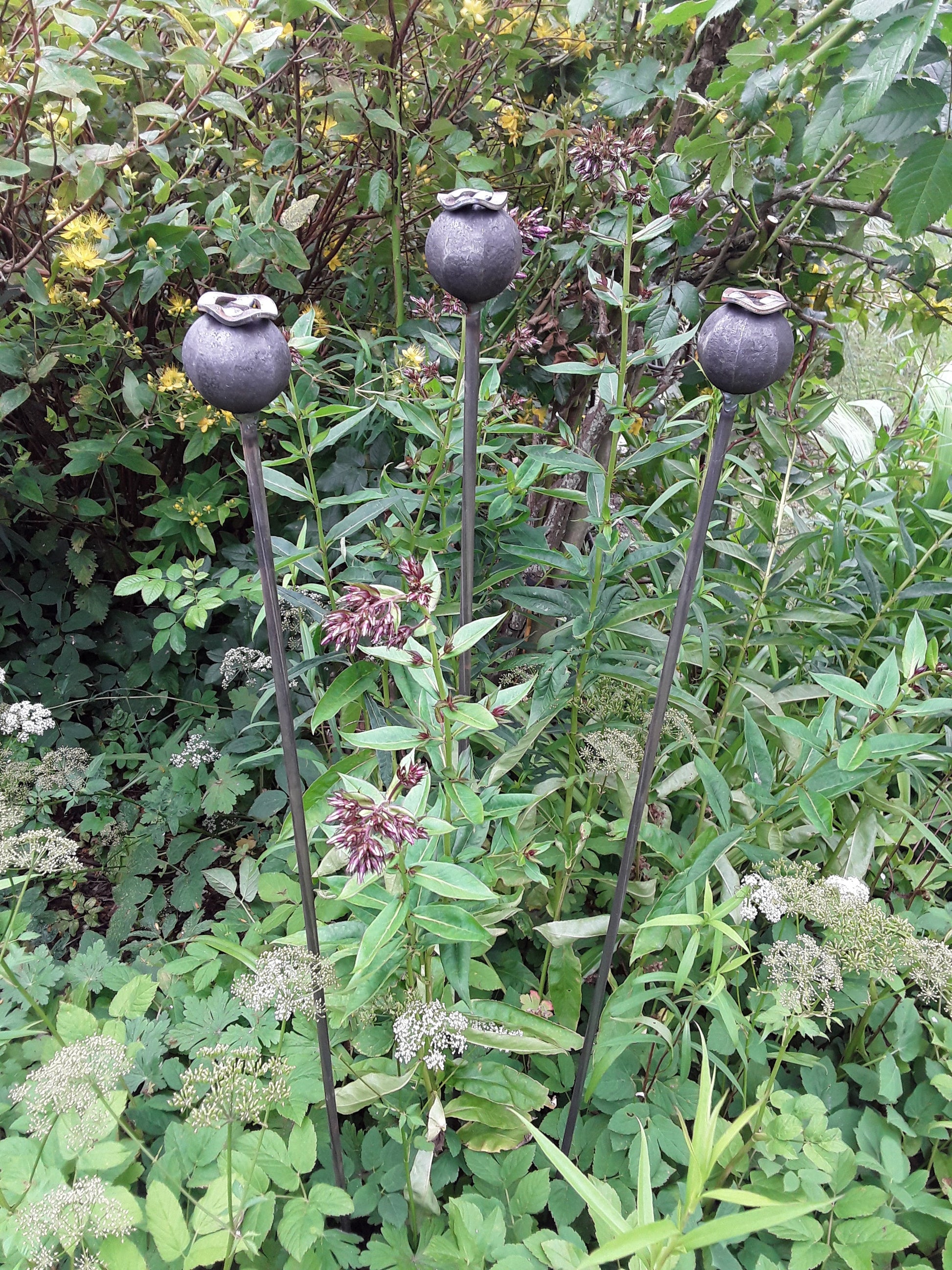 poppy seed head garden stakes Poppy Seed Head Plant Support/Stake/Pin – Metal in Bloom Ltd